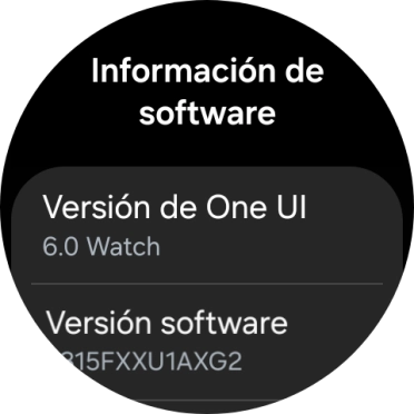 Bajo Versión software aparece la versión de software del smartwatch. Bajo Versión software aparece la versión de software del smartwatch.