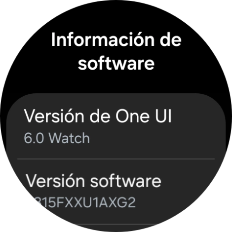 Bajo Versión software aparece la versión de software del smartwatch. Bajo Versión software aparece la versión de software del smartwatch.