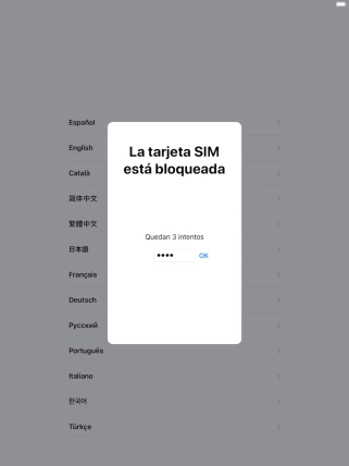 Si es necesario desbloquear la tarjeta SIM, introduce el código PIN y pulsa OK. Si es necesario desbloquear la tarjeta SIM, introduce el código PIN y pulsa OK.