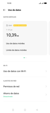 El consumo total de datos se visualiza ahora en la pantalla.