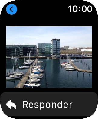 Pulsa Responder. Pulsa Responder.