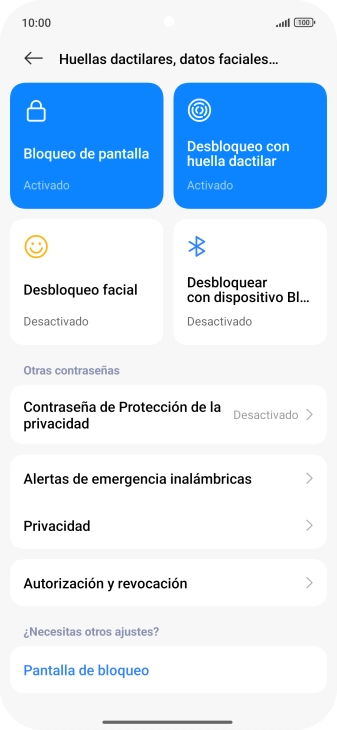 Pulsa Bloqueo de pantalla.
