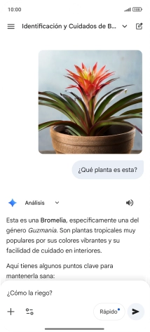 Sigue las indicaciones de la pantalla para escribir o decir en alto más preguntas y continuar la conversación. Sigue las indicaciones de la pantalla para escribir o decir en alto más preguntas y continuar la conversación.