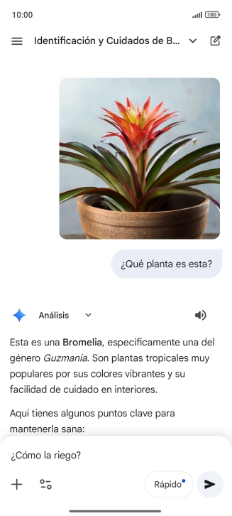 Sigue las indicaciones de la pantalla para escribir o decir en alto más preguntas y continuar la conversación. Sigue las indicaciones de la pantalla para escribir o decir en alto más preguntas y continuar la conversación.