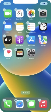Pulsa el icono de página de pantalla de inicio.