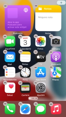 Pulsa el icono de página de pantalla de inicio.
