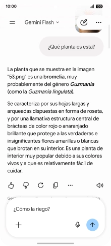 Sigue las indicaciones de la pantalla para escribir o decir en alto más preguntas y continuar la conversación. Sigue las indicaciones de la pantalla para escribir o decir en alto más preguntas y continuar la conversación.
