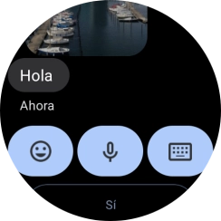 Pulsa el icono de micrófono. Pulsa el icono de micrófono.