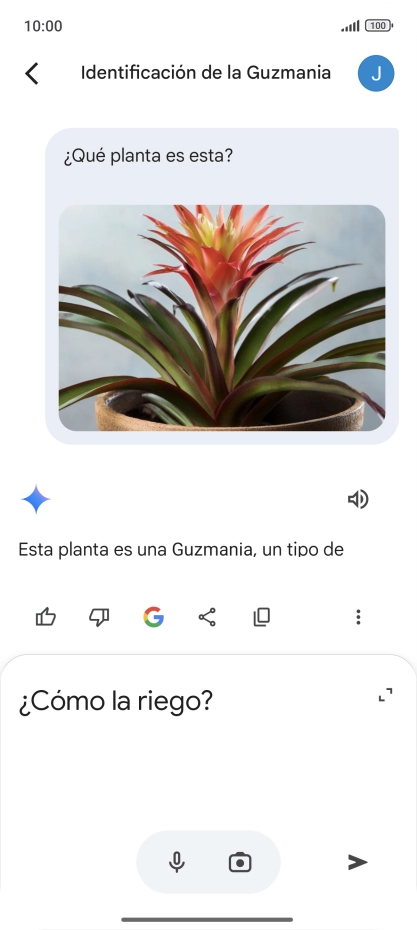 Sigue las indicaciones de la pantalla para escribir o decir en alto más preguntas y continuar la conversación. Sigue las indicaciones de la pantalla para escribir o decir en alto más preguntas y continuar la conversación.