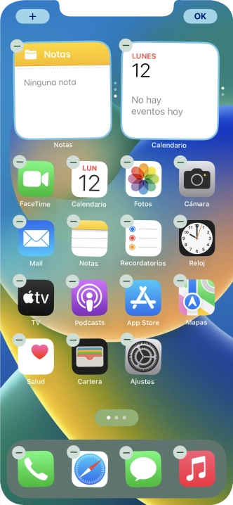 Pulsa el icono de página de pantalla de inicio.
