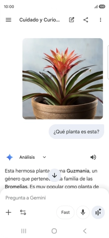 Sigue las indicaciones de la pantalla para escribir o decir en alto la pregunta deseada. Puedes adjuntar fotografías o documentos y hacer preguntas acerca de ellos.