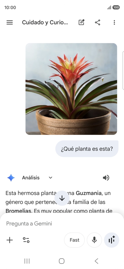 Sigue las indicaciones de la pantalla para escribir o decir en alto la pregunta deseada. Puedes adjuntar fotografías o documentos y hacer preguntas acerca de ellos.