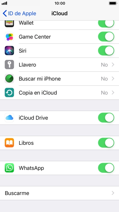 Pulsa Copia en iCloud.