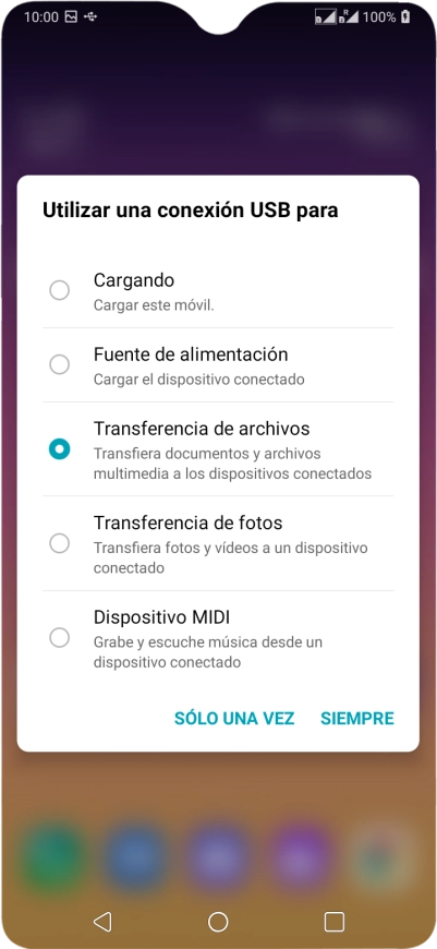 Pulsa Transferencia de archivos para activar la función.