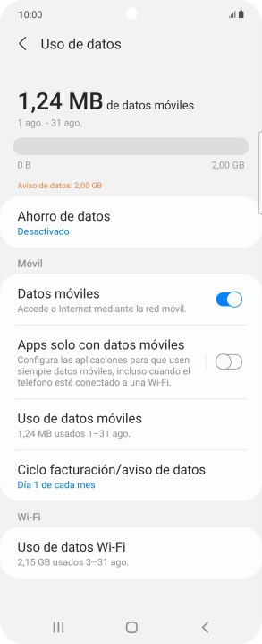 El consumo total de datos se visualiza ahora en la pantalla.