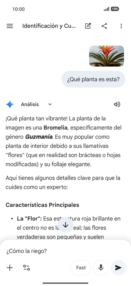 Sigue las indicaciones de la pantalla para escribir o decir en alto más preguntas y continuar la conversación. Sigue las indicaciones de la pantalla para escribir o decir en alto más preguntas y continuar la conversación.