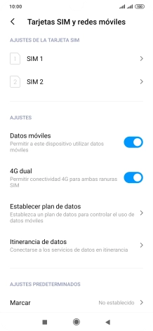 Pulsa Itinerancia de datos.