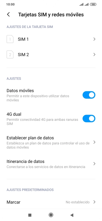 Pulsa Itinerancia de datos.