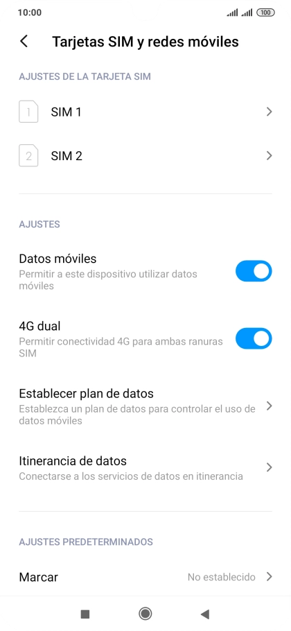 Pulsa Itinerancia de datos.