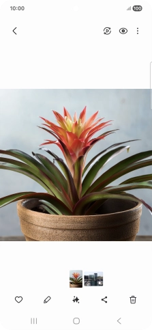 Go to the required picture.