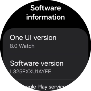 The software version of your smartwatch is displayed below Software information.