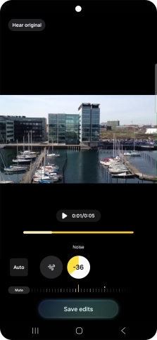 Press Mute to completely remove the selected audio type from the video.