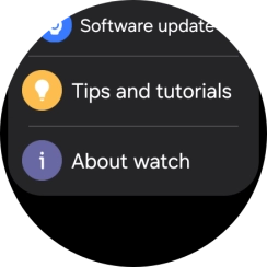 Press Software update.
