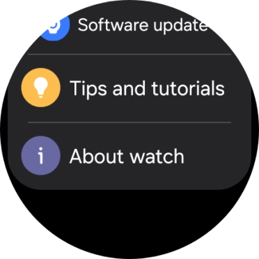 Press Software update.
