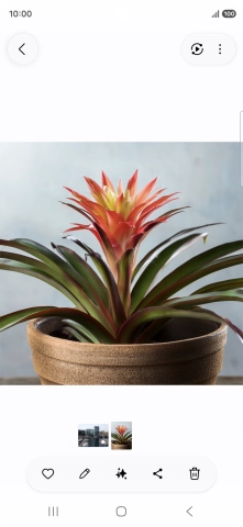 Go to the required picture.