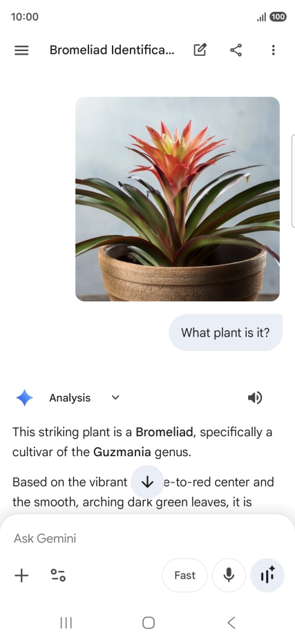 Follow the instructions on the screen to type or speak the required question. You can also attach pictures or documents and ask questions to them.