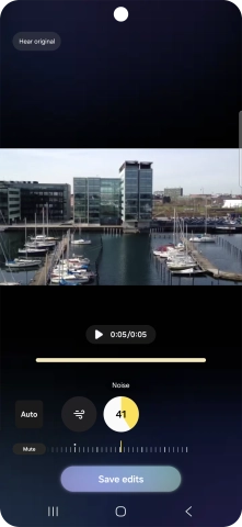 Press Mute to completely remove the selected audio type from the video.