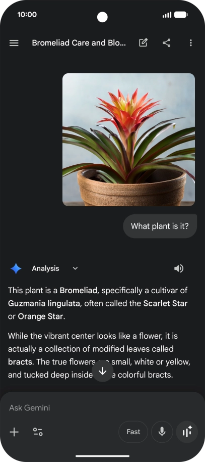 Follow the instructions on the screen to type or speak the required question. You can also attach pictures or documents and ask questions to them.