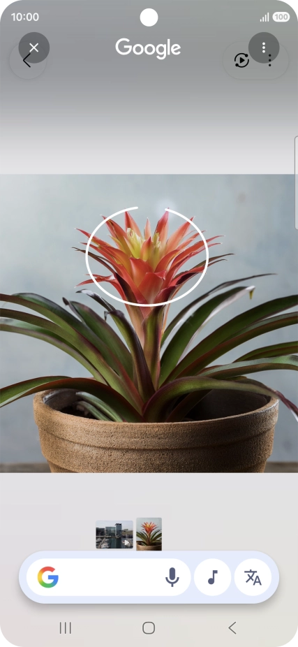 Draw a circle around the required object on the picture and wait for the search results.