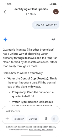 Follow the instructions on the screen to type or speak more questions to continue the conversation. Follow the instructions on the screen to type or speak more questions to continue the conversation.