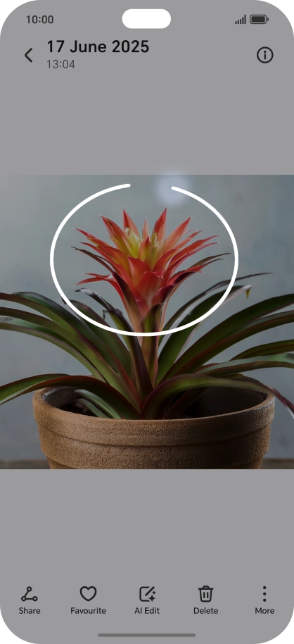 Draw a circle around the required object on the picture using your knuckle. Draw a circle around the required object on the picture using your knuckle.