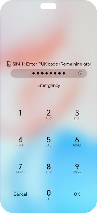 Key in the PUK and press OK.