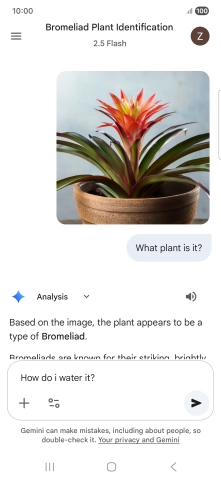 Follow the instructions on the screen to type or speak more questions to continue the conversation.