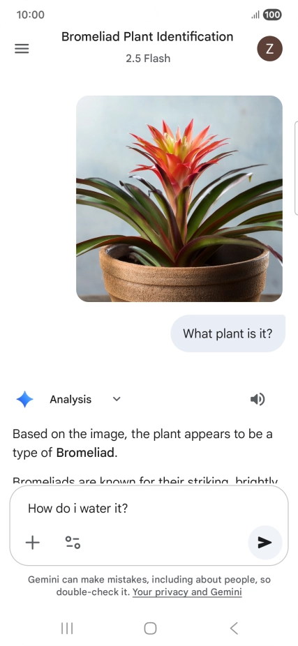 Follow the instructions on the screen to type or speak more questions to continue the conversation.