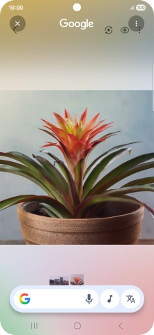 Draw a circle around the required object on the picture and wait for the search results.