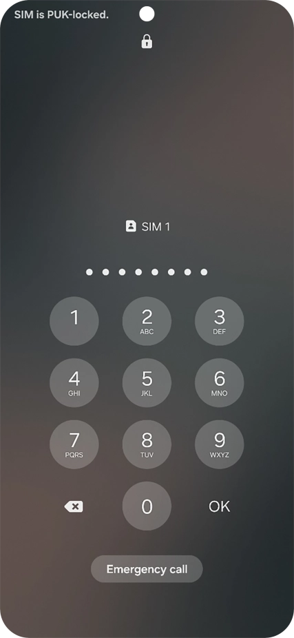 Key in the PUK and press OK.