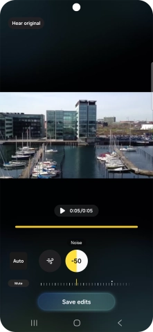 Press Mute to completely remove the selected audio type from the video.