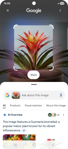 Follow the instructions on the screen to use the search results.