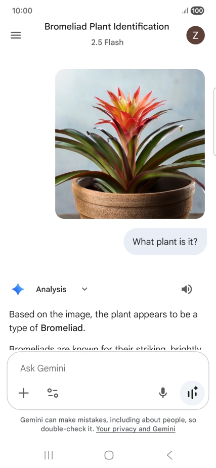 Follow the instructions on the screen to type or speak the required question. You can also attach pictures or documents and ask questions to them.