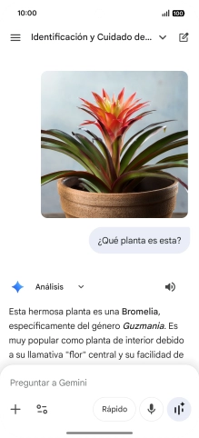 Sigue las indicaciones de la pantalla para escribir o decir en alto la pregunta deseada. Puedes adjuntar fotografías o documentos y hacer preguntas acerca de ellos.