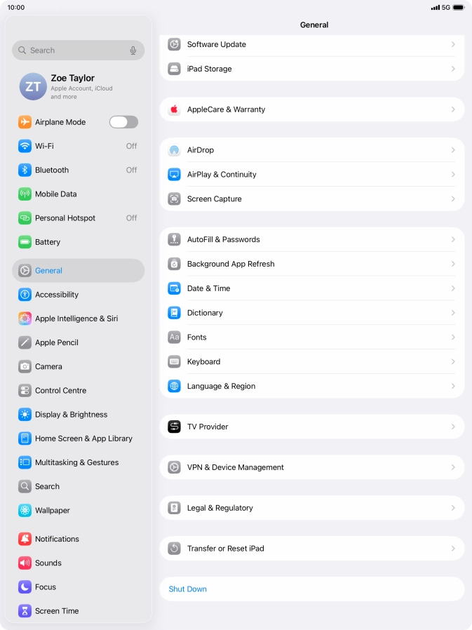 Press Transfer or Reset iPad.