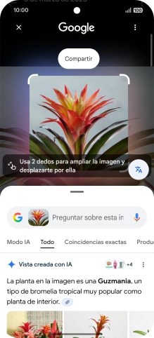 Sigue las indicaciones de la pantalla para utilizar los resultados de búsqueda.