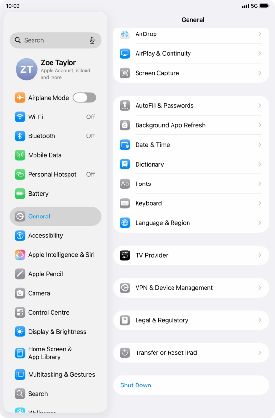 Press Transfer or Reset iPad.