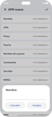 Introduce Vodafone Internet y pulsa Aceptar.