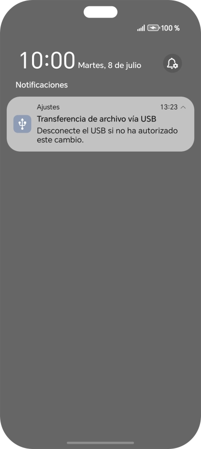 Pulsa el icono de USB.