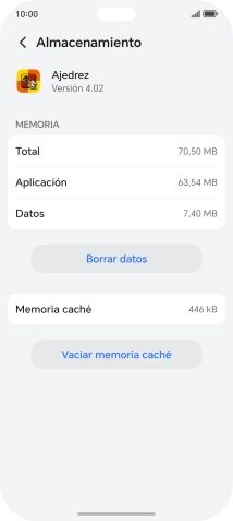 Pulsa Vaciar memoria caché. Pulsa Vaciar memoria caché.